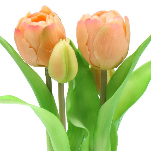 Floristik24 Tulipán Real-Touch barack 23cm