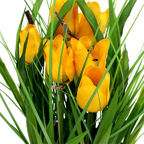 Floristik24 Tulipán cserépben sárga 30cm
