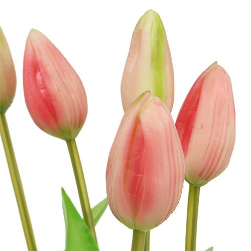tételeket Tulipán gallér rózsaszín igazi érintés