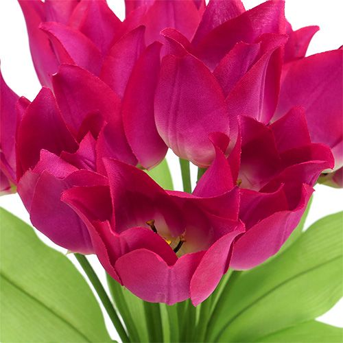 Floristik24 Tulipán bokor rózsaszín L 30cm