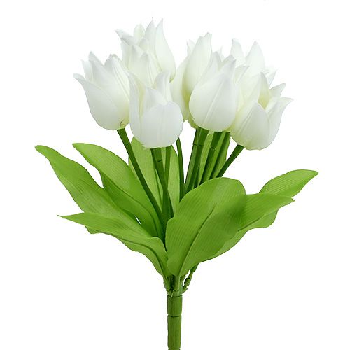 Floristik24 Tulipán bokor fehér 30cm