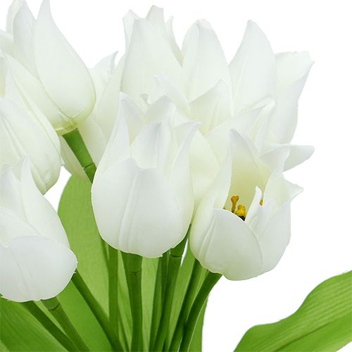 Floristik24 Tulipán bokor fehér 30cm