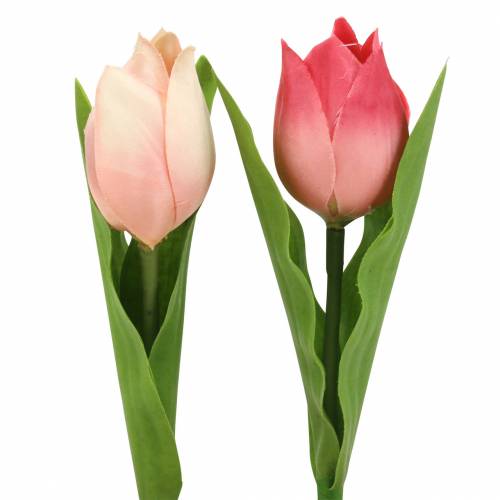 Floristik24 Tulipán keverék művirág rózsaszín sárgabarack 16cm 12db