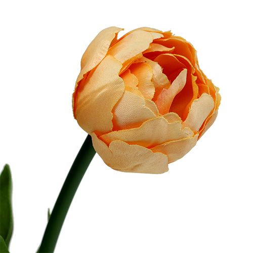 Floristik24 Tulipán csokor sárgabarack 43cm