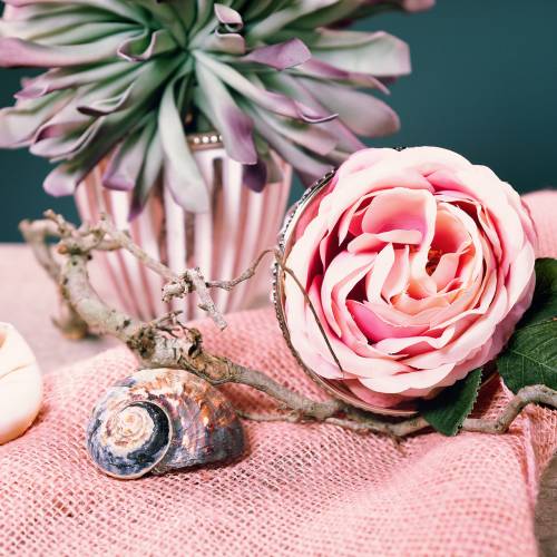 tételeket Turbánhéj alikreukel natúr 500g