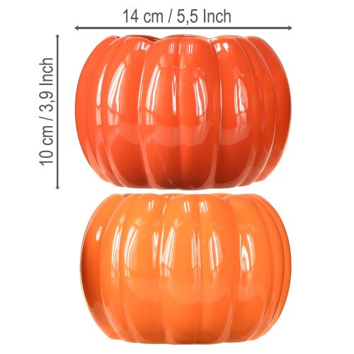 Floristik24 Kerámia virágtartó tök narancssárga vegyes Ø14cm M10cm 2 db