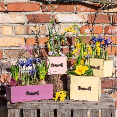 Floristik24 Ültető fiók fa deco lila 25×13×9cm