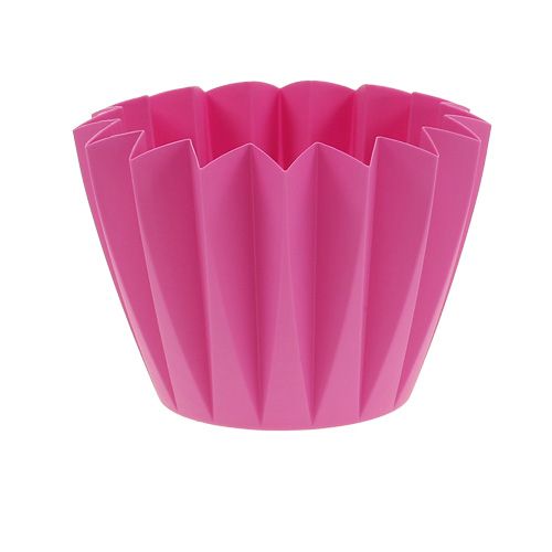 Floristik24 Repot Adonis Azalea 14cm 20 db