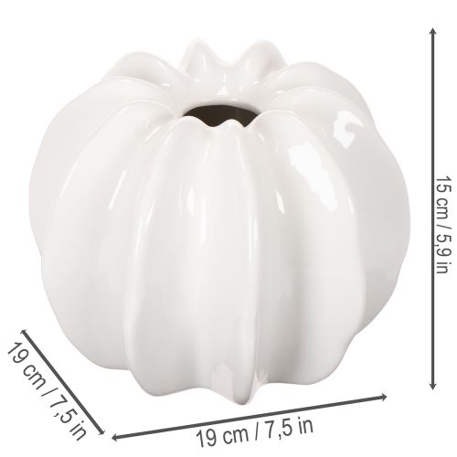 Tök alakú díszváza, fényes, őszi dekoráció nappaliba, 19cm | Floristik24.hu