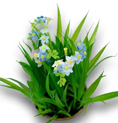 Nefelejcs fűvel és tálal 18cm