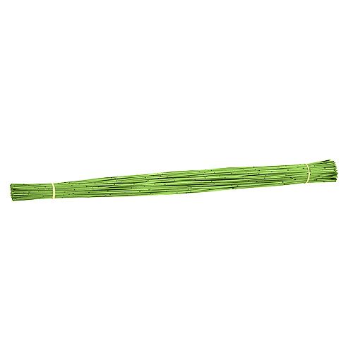 Floristik24 Vlei Reed 400g világoszöld