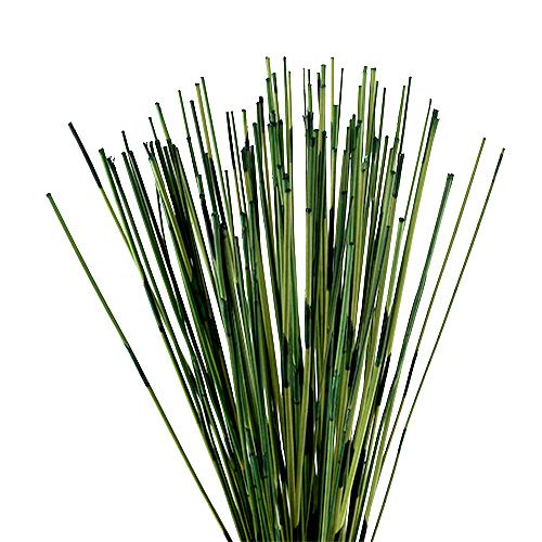 Floristik24 Vlei Reed 400g sötétzöld