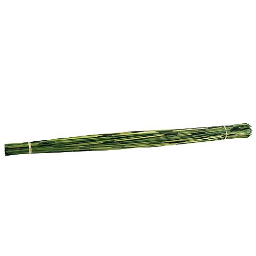 Floristik24 Vlei Reed 400g sötétzöld