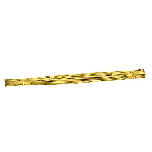 Floristik24 Vlei Reed 400g sárga