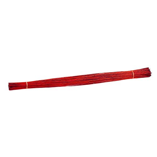 Floristik24 Vlei Reed 400g Red