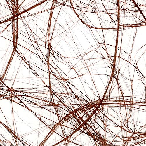 tételeket Polár 8cm 25m barna