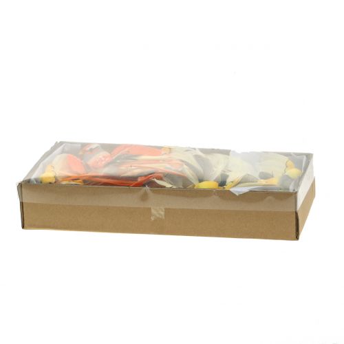 Floristik24 Madár huzalon barna / narancs 14cm 12db
