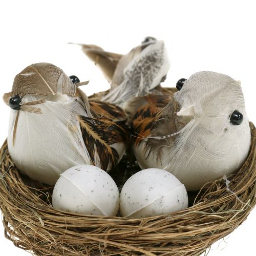 tételeket Madárfészek tojással és madárral 6db