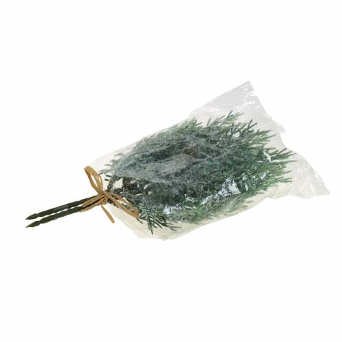 Floristik24 Dísz borókaág kúpos zöld-jeges, kék mosott 25cm 2 db.