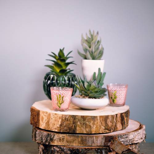 Floristik24 Viaszgyertya üvegkaktuszban Ø6,5cm 2db