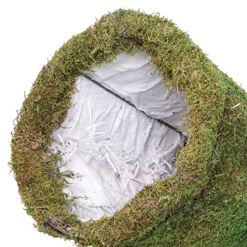 tételeket Karácsonyfa mohadísz zöld natúr színben Ø30cm H100cm