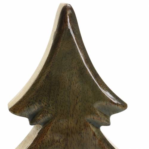 Floristik24 Fa fenyő mázas natúr, fehér mangófa H29cm