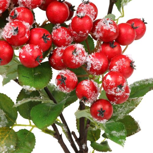 tételeket Karácsonyi ágak piros bogyós gyümölcsökkel, téli dekorációval, áfonya vörös havas L58cm
