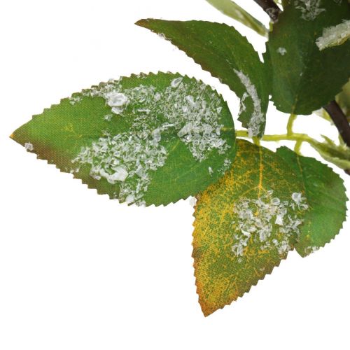 Floristik24 Karácsonyi ágak piros bogyós gyümölcsökkel, téli dekorációval, áfonya vörös havas L58cm