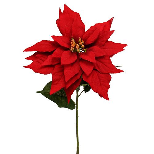 Floristik24 Karácsonyi csillag piros 57cm 1db