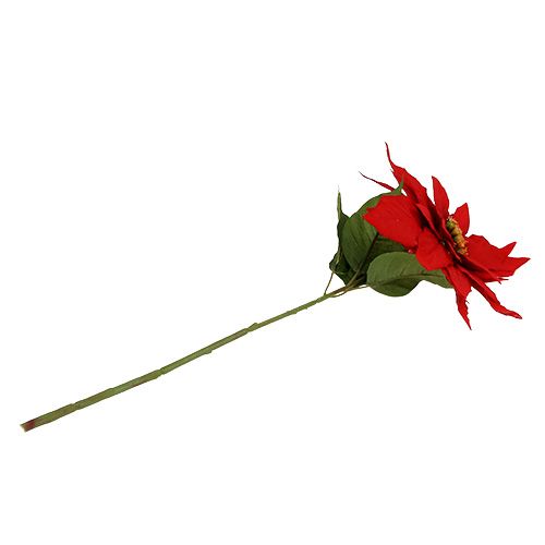 Floristik24 Karácsonyi csillag piros 57cm 1db