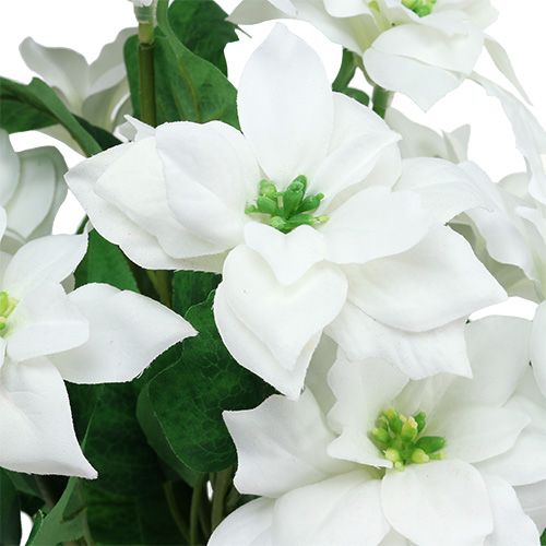 tételeket Mikulásvirág csokor fehér L45cm