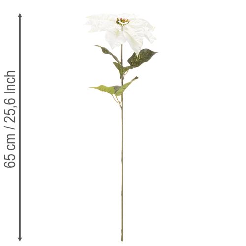 Műfehér mikulásvirág, nagy virágú ágdísz, 65 cm, 2 darab | Floristik24.hu