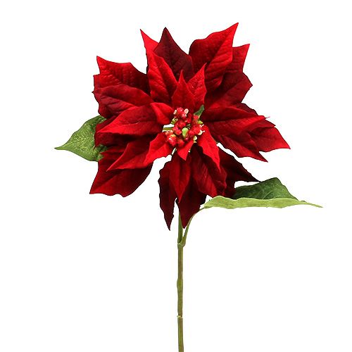 Floristik24 Karácsonyi csillag piros 70cm