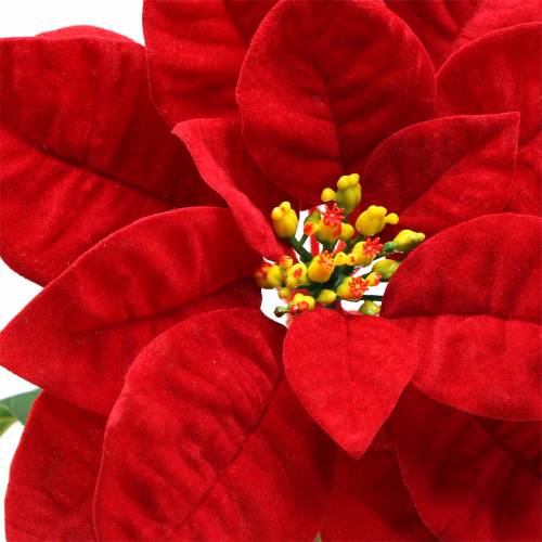 tételeket Mikulásvirág művirág piros 67cm