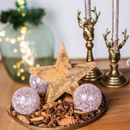 Floristik24 Mikulásvirág álló mangó jellegű, arany 20 × 20 × 3,5 cm