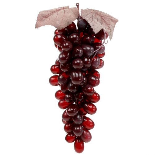 Floristik24 Műszőlő Burgundy 25cm