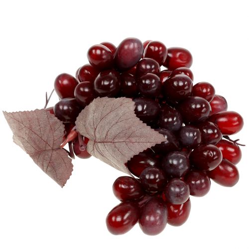 Floristik24 Műszőlő Burgundy 25cm