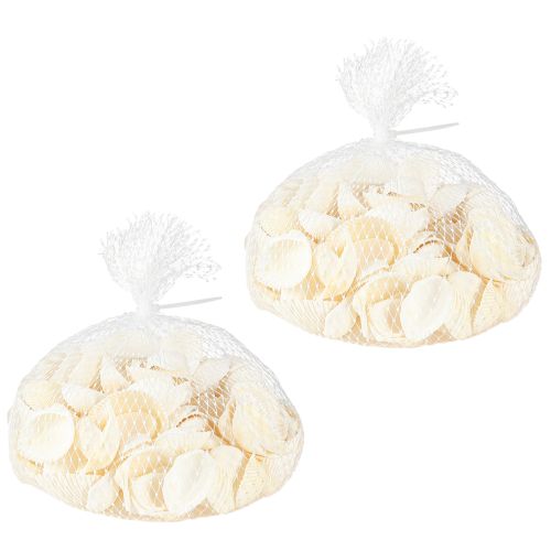 Floristik24 White Shells Dekoratív kagylók 2-3,5cm 300g × 2db