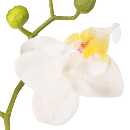 tételeket Fehér orchidea művirág cserépben Phalaenopsis M33cm