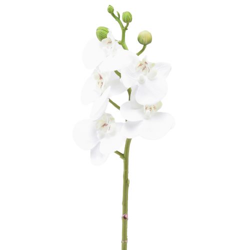 tételeket Fehér mesterséges orchidea Phalaenopsis Real Touch 32cm