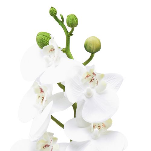 tételeket Fehér mesterséges orchidea Phalaenopsis Real Touch 32cm