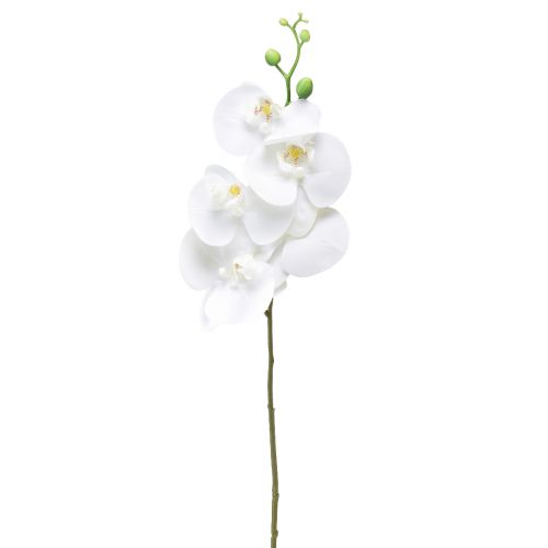 Floristik24 Fehér mesterséges orchidea Phalaenopsis Real Touch 85cm