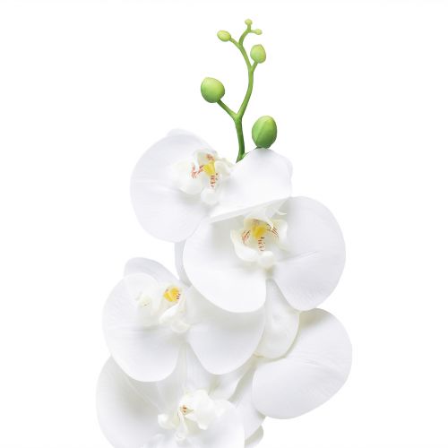 tételeket Fehér mesterséges orchidea Phalaenopsis Real Touch 85cm