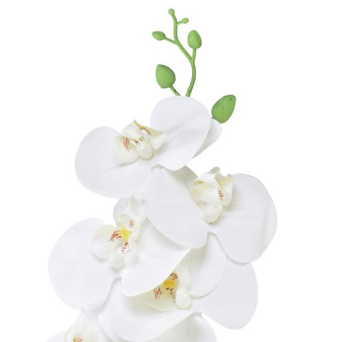 tételeket Fehér műorchidea Phalaenopsis Real Touch M83cm
