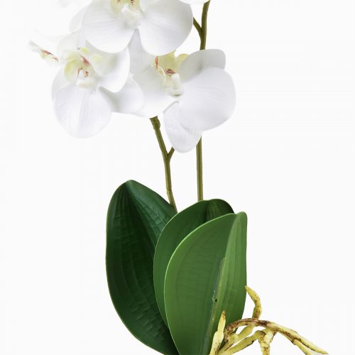 Floristik24 White Orchid on Pick Artificial Phalaenopsis Real Touch 39cm