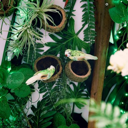 Floristik24 Budgie on clip zöld 13cm 6db