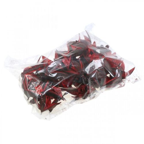 Floristik24 Vadliliom piros natúr díszítésű szárított virágok 6-8cm 50 db