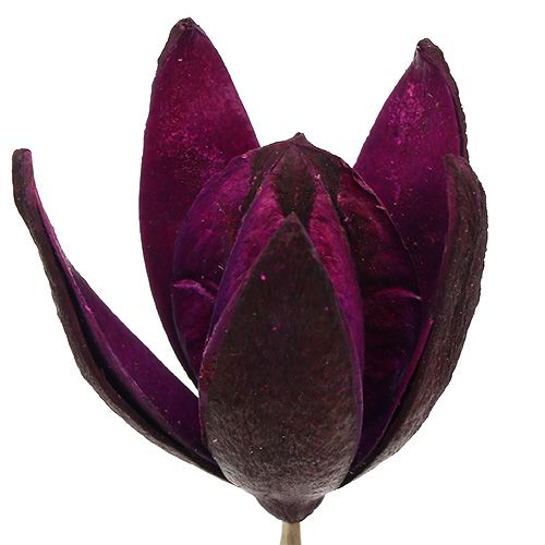 Floristik24 Vadliliom díszítő szárra keverék rózsaszín, Erika 45 db