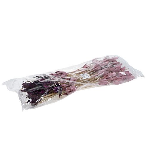 Floristik24 Vadliliom díszítő szárra keverék rózsaszín, Erika 45 db