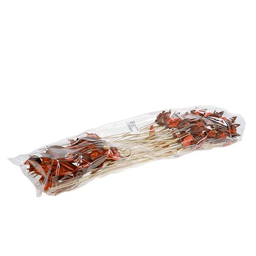 Floristik24 Vadliliom szárnarancson 45 db